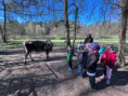 /album/farma-kozodoj/whatsapp-image-2026-04-24-at-14-47-56-1-jpeg/